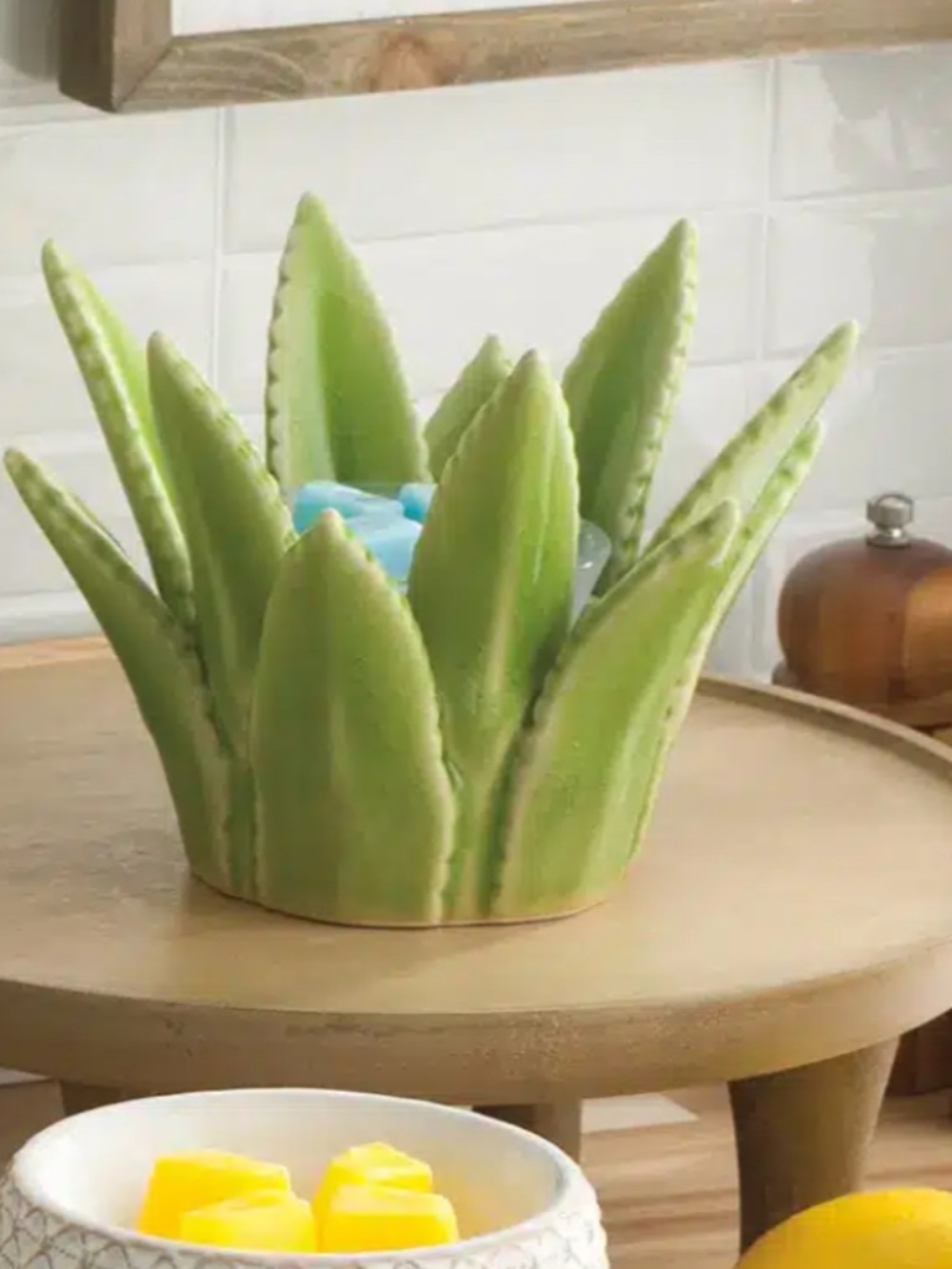ALOE VERA SCENTSY WAX WARMER